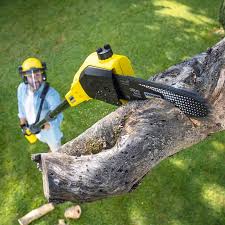 Best Aeration Services  in Abbeville, SC